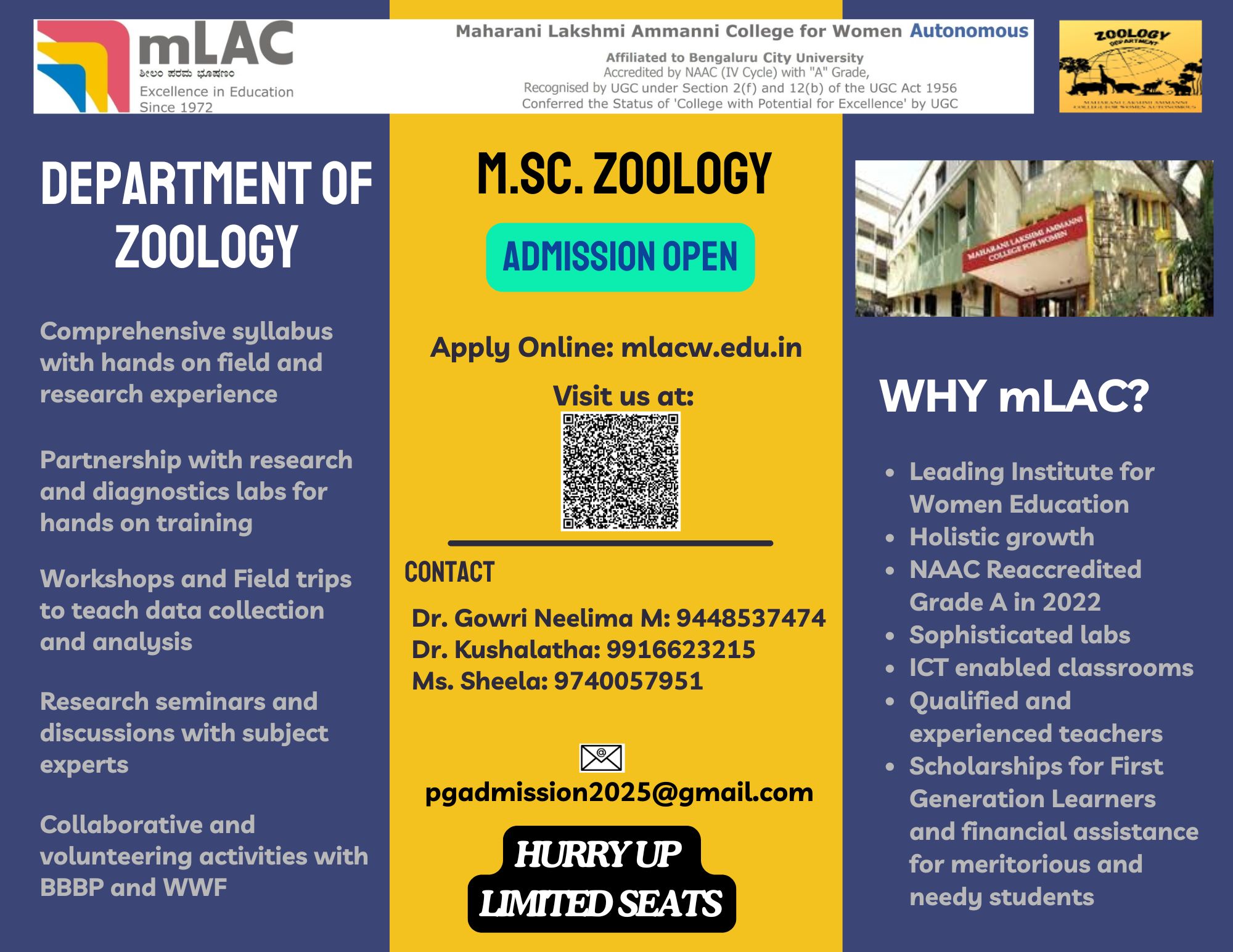 mLAC
