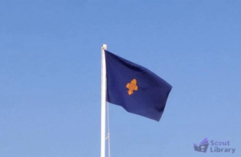 Bharat Scouts and Guides Flag